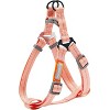 Touchdog  'Macaron' 2-in-1 Durable Nylon Dog Harness and Leash - 2 of 3