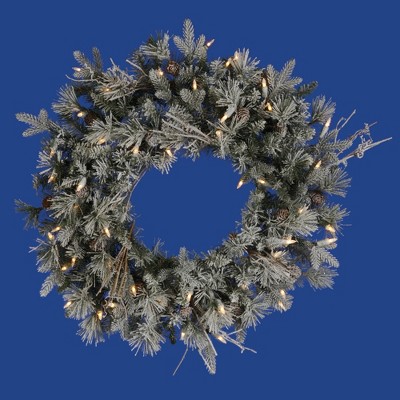 Vickerman 24" Prelit Frosted Wistler Fir Dura Lights Artificial Christmas Wreath - Clear Lights