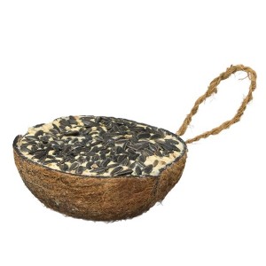 A&E Cage Company Black Oil Sunflower and Half Coconut with Suet Food - 0.45lbs - 1 of 2