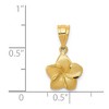 Black Bow Jewelry 14k Yellow Gold 10mm Satin Plumeria Blossom Pendant - 3 of 4