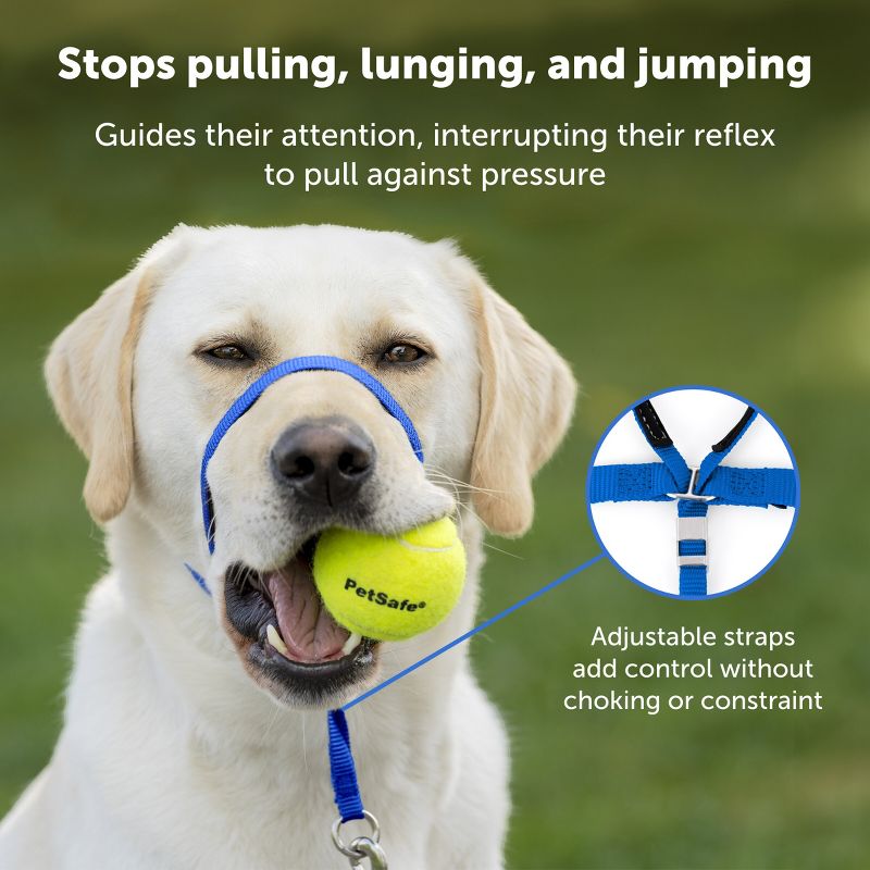 PetSafe Gentle Leader Headcollar Adjustable Dog Harness, 6 of 9