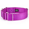Country Brook Petz 1 1/2 Inch Martingale Heavyduty Nylon Dog Collar - 2 of 4