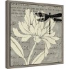 Amanti Art Natural Prints II by Daphne Brissonnet Canvas Wall Art Print Framed 16-in. x 16-in. - 3 of 4