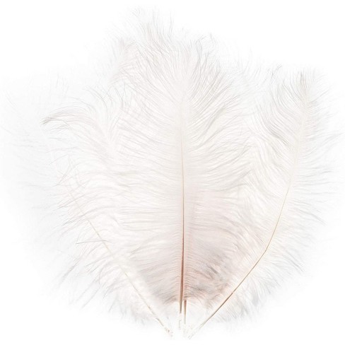GA, USA White Ostrich Feathers 14-16 inch 12 Pieces 