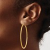 Black Bow Jewelry 2mm x 50mm 14k Yellow Gold Satin & Diamond-Cut Round Hoop Earrings - 3 of 4