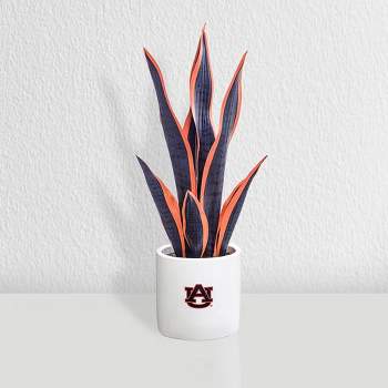 Forever Leaf Auburn Faux Snake Plant, Indoor Artificial Plant for Home Decor