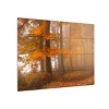 Trademark Fine Art Nicolas Schumacher Edge of The Autumn Woods Wood Slat Art - 2 of 4