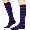Striped Patterned Knee High Socks from the Sock Panda (Women's Sizes, Adult Medium) - 2 of 4