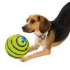 Wobble wag on sale giggle ball target