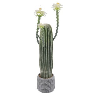 Artificial Cactus Potted Plant Faux Desert Cacti Fake Big Cactus Plant with Planter Realistic Faux for Home Garden Office Indoor Outdoor Decoration - 1 of 4