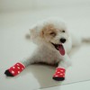 Unique Bargains  Dogs Cats Socks Non-Slip Indoor Paw Protection 4 Pcs - 4 of 4