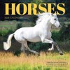 TF Publishing 13.5"x14.5" 2026 Horses Wall Calendar - 2 of 4