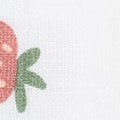 strawberries & ballet slipper