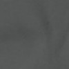 charcoal