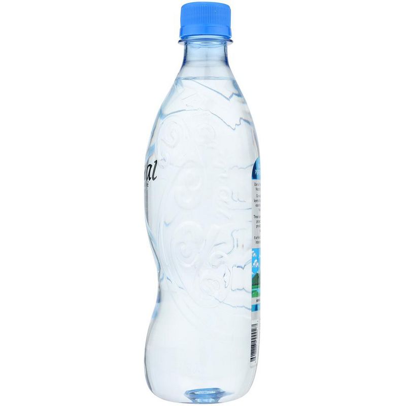 Eternal Naturally Alkaline Spring Water - Case of 24/600 ml, 4 of 6