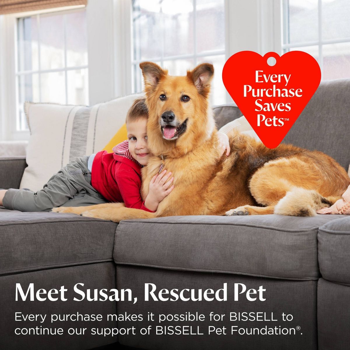 BISSELL 64oz Multi-Surface Pet with citrus - 34441: Carpet Cleaner Solution, Removes Dirt & Stains, Lemon & Eucalyptus Scent - thumbnail 8