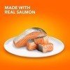 IAMS Proactive Health Weight Control and Hairball Care Salmon Flavor Indoor Dry Cat Food - 7lbs - 4 of 4