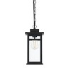 Elegant Lighting Mercer 6.5 Inch Outdoor Pendant in Black - 2 of 4