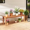 Tangkula 55" Teak Wood Bench 3-Person Backless Seating w/ 880 LBS Weight Capacity - 3 of 4