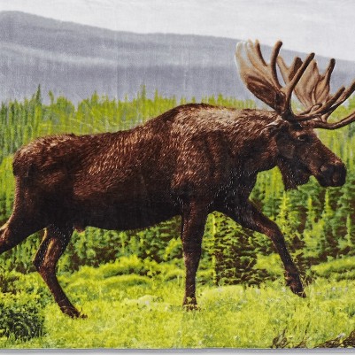 moose