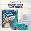 Charmin Flushable Wipes, 2 packs, 40 Wipes Per Pack, 80 Total Wipes - 3 of 4
