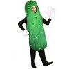 HalloweenCostumes.com Adult Pickle Costume - image 3 of 4