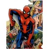 Bazillion Dreams Marvel Legends Spider-Man Characters in Web Fleece Softest Comfy Throw Blanket for Adults & Kids | Measures 60 x 50 Inches - 2 of 4