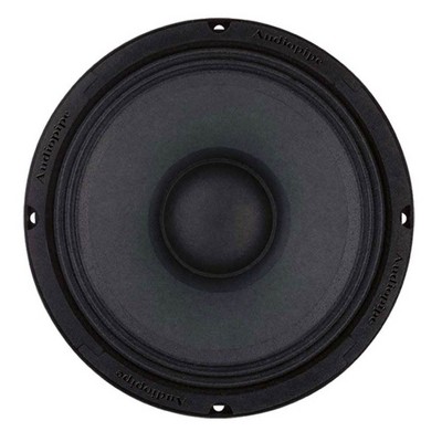 audiopipe 10 inch midrange