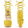 BLISSFUL STEP Women's Faux Suede Lace Up Platform Block Heel Pumps - 2 of 3