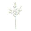 Rosemary Foliage Spray (Set of 6) - 2 of 3