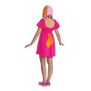 Nickelodeon PAW Patrol Skye Adult Costume Accessories Kit One Size - 3 of 4