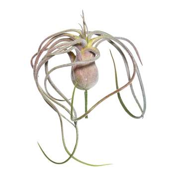 Faux Air Plant: Artificial Tillandsia With Pale Green Leaves, Fake Air Plant,  Stricta 8.5 Inch Long 