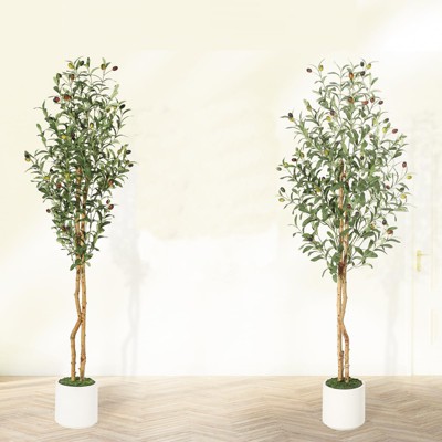 Olive Trees Artificial Indoor, 5FT Tall Faux Silk Plant White Planter, with Natural Wood Trunk and Green Fake Moss,1 PCS