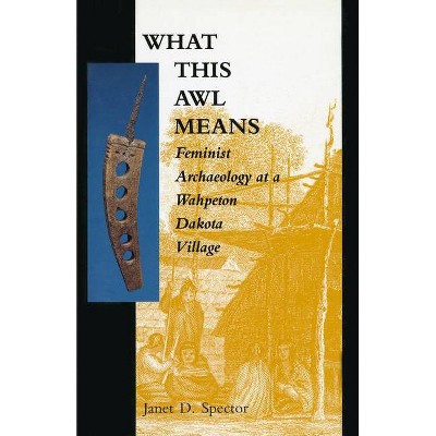 What This Awl Means - by  Janet D Spector (Paperback)