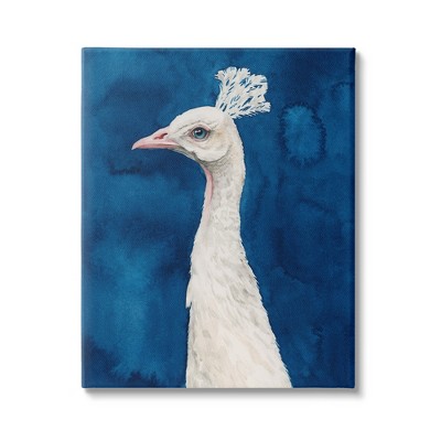 Stupell White Feather Peacock over Royal Blue Gallery Wrapped Canvas Wall Art