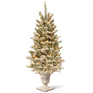 4' Prelit LED Flocked Sheffield Spruce Entrance Tree Twinkly Clear Lights - National Tree Company - 1 of 4