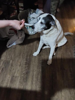 Guest review image 1 of 1, zoom in