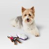 Halloween Plush Dog Toy Set - 2pc - Hyde and EEK! Boutique™ - 2 of 3