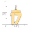Black Bow Jewelry 14k Yellow Gold, Athletic Collection, Small Polished Number 17 Pendant - 2 of 3