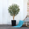 DR.Planzen 72" Artificial Olive Tree with Real Wood Branches - 6FT UV Resistant Indoor/Outdoor Fake Plant in 15.7" Planter (B/W/Coffee) - 2 of 4