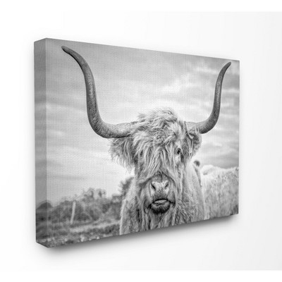 Stupell Industries Black and White Highland Cow Photograph