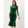 Allegra K Women's Bodycon Elegant Velvet Sheer Mesh Mock Neck Midi Cocktail Dresses - 4 of 4