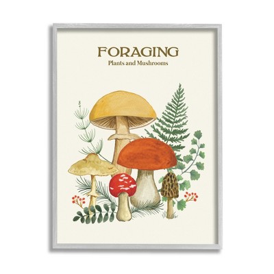 Stupell Industries Botanical Plants & Mushrooms Framed Giclee Art