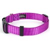 Country Brook Petz Deluxe Nylon Dog Collar and Leash - 3 of 4