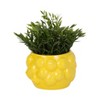 Ceramic Ceramic Planter - Textured Modern Flower Pot with Drainage - Indoor & Outdoor Decorative Plant Holder for Home & Garden - 5" Yellow - 2 of 4