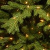 Prelit PowerConnect Princeton Fraser Fir Artificial Christmas Tree Dual Color Lights - National Tree Company - 3 of 4