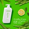 Native Moisturizing Body Wash with Shea Butter for Women & Men - 24hr Hydration - Lemon Balm & Bamboo - Sulfate Free - Paraben Free - 18 fl oz - 4 of 4