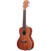 Kala KA-CGE Concert Gloss Acoustic-Electric Ukulele - 4 of 4