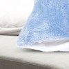 Cheer Collection Set of 2 Microfleece Throw Pillows - 3 of 4
