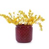 NAYSAYE Planter Set of 3 Ceramic Flowerpot Sleek Glossy Design Elegant Style for Indoor Outdoor Garden, Red, 15"*15"*15" - 2 of 4